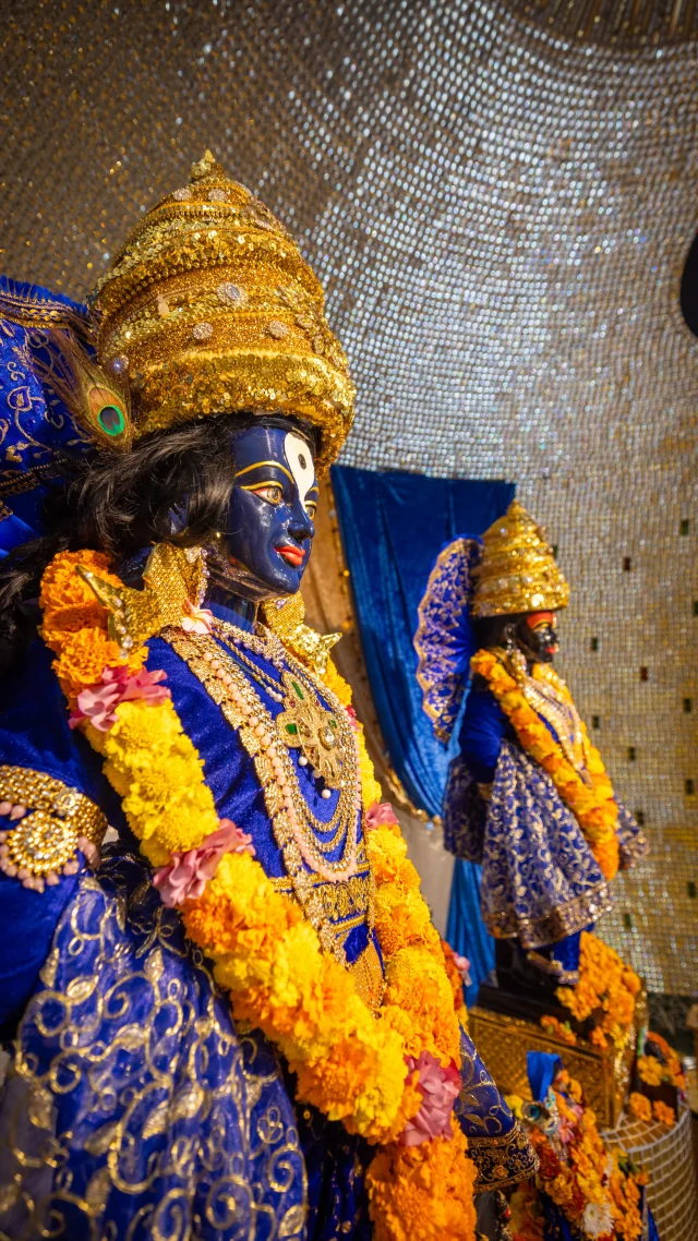 Happy Ashadi Ekadashi #panduranga #rukmini #ashadiekadashi #vakari #hindu #vaishnava #ritual