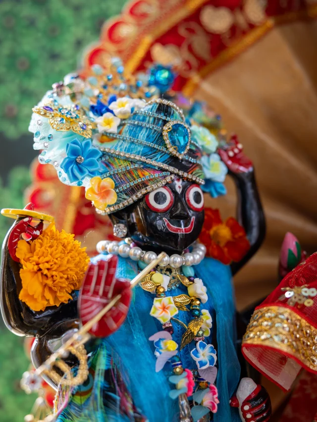 #TheAshram #shreepeethanilaya #dailyhindudeities #BhutabhrteshwarnathMandir #BhaktiMarga⁣
⁣
___________________________________⁣
#jagannath #babaji #ramanuja #narasimha #rangannath #lakshmi #kamakshi #gayatri #tulsi #shiva⁣ #saraswati
⁣
#Hindu #Hinduism #Vaishnava #BhaktiYoga #Bhakti #Love #Temple #HinduTemple #Mandir #Kirtan #spirituality #mantra #photooftheday⁣