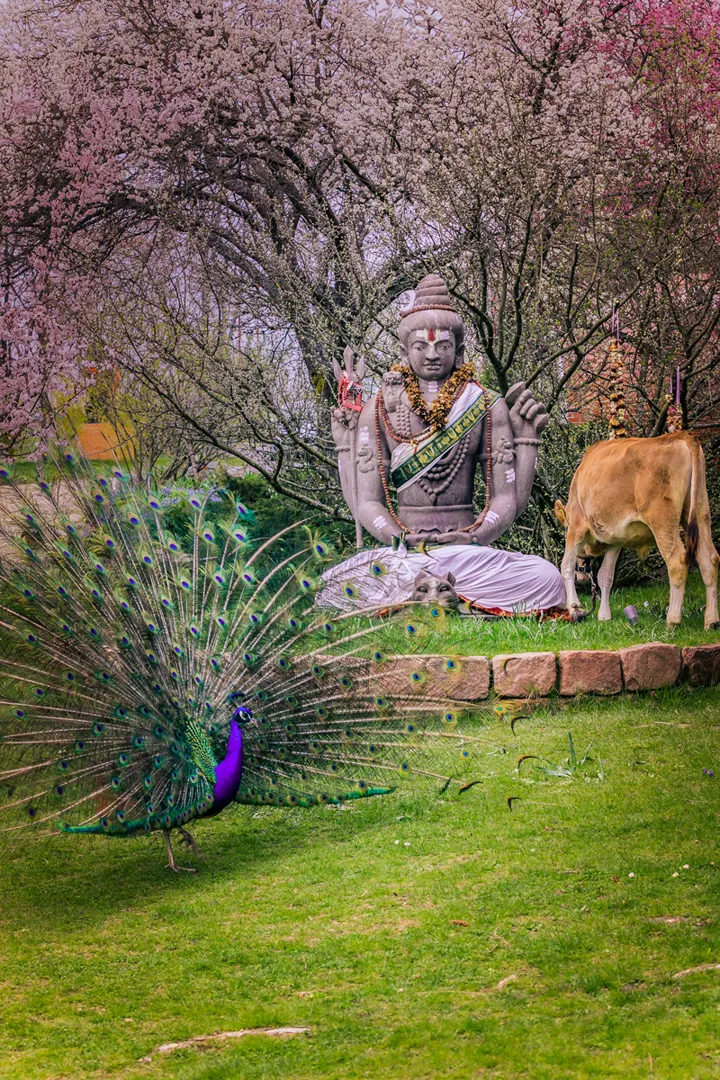 a garden with bloomed flowers, animals and the hindu deity Shiva